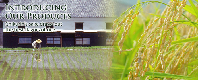 Introducing  Our Products