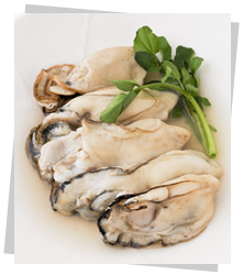 Sake steamed oysters