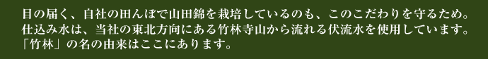 米のおいしさを３つのタイプの「竹林」に託しました。